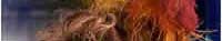 ARISTOCRATS - Duchess of Richmond - Dir: David Caffrey - BBC. Principal cast incl: Sian Phillips, Alun Armstrong, Geraldine Somerville, Jodhi May, Diana Quick, Carmen Du Sautoy & Geoffrey Beevers
