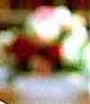 MIDSOMER MURDERS - Rosalind Parr - Guest lead role - Dir: Sarah Hellings - Bentley Productions ITV. Principal cast incl: John Nettles, Daniel Casey, Carmen Du Sautoy, Gemma Jones, Gwen Taylor, Clare Holman & Hugh Bonneville